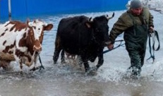 Абайлаңыз, су тасқыны!