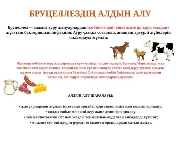 Бруцеллездің алдын алу
