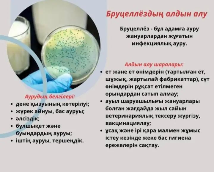 Бруцеллездің алдын алу