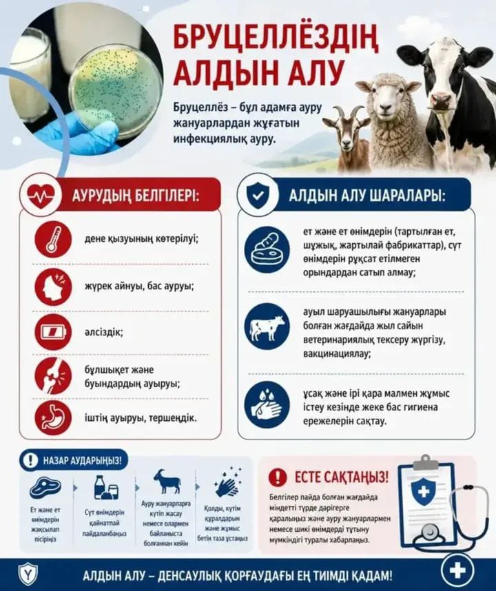Бруцеллез: жануарлар иелеріне арналған жадынама